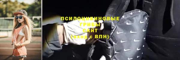 a pvp Дмитриев