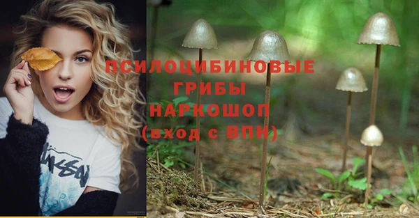 a pvp Дмитриев